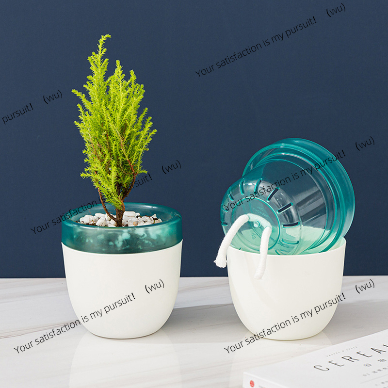 Автоматический водопоглощающий – обзор и цена Aloe Vera Pot