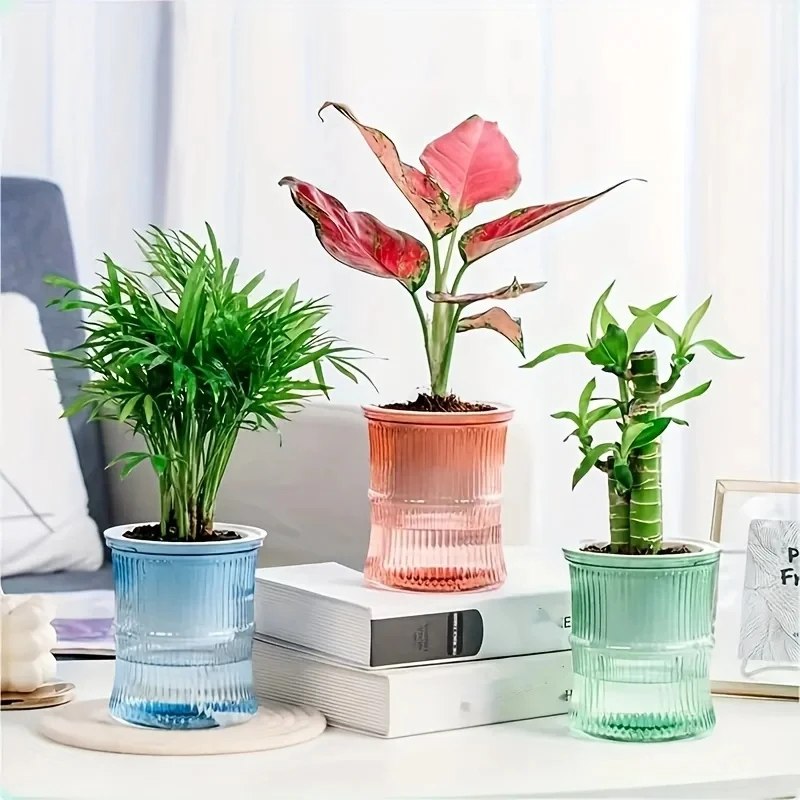 Прозрачный двухслойный самопол – обзор и цена Aloe Vera Pot