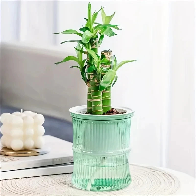 Прозрачный двухслойный самопол – обзор и цена Aloe Vera Pot