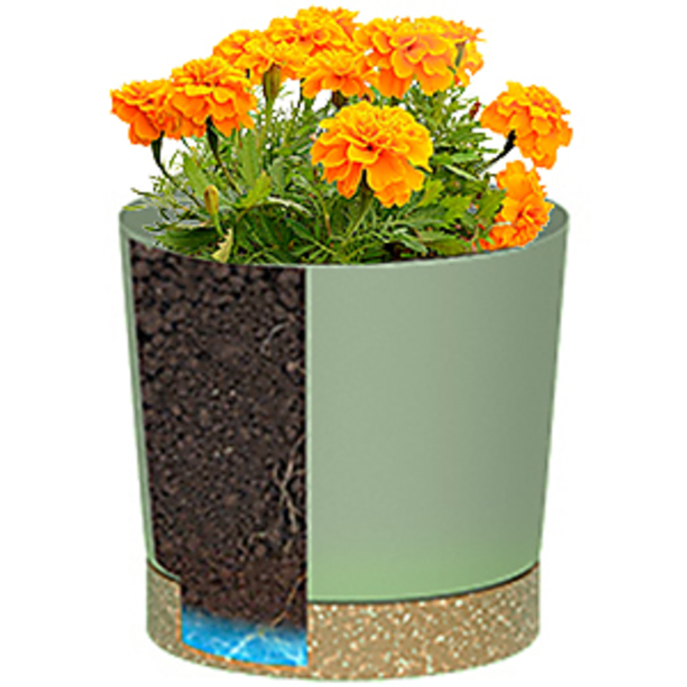 Горшки для растений, легкие бо – обзор и цена Aloe Vera Pot